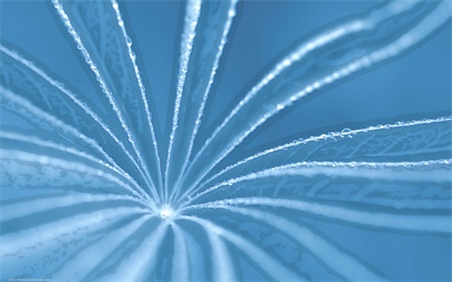 汇法网，汇法网是专门给律师们准备的网站吗案例是律师上传的吗